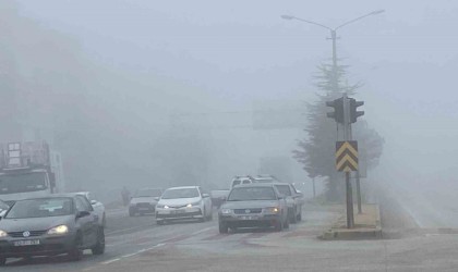 Kuluda sis hayatı olumsuz etkiliyor