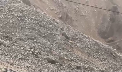 Malatyada yaban keçileri sürü halinde görüntülendi