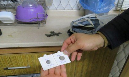 Mersinde bir evde çok miktarda tarihi eser ele geçirildi