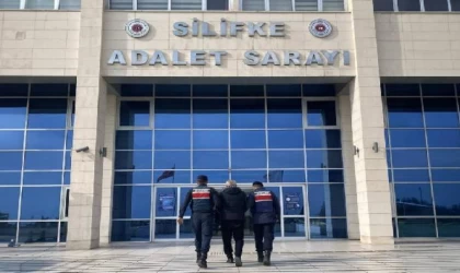 Mersin’de fuhşa zorlanan 4 kadın kurtarıldı, 1 gözaltı