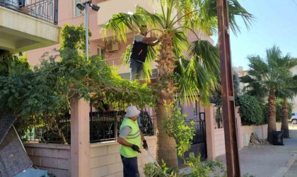 Mutta park ve bahçelerin kışlık bakımı devam ediyor