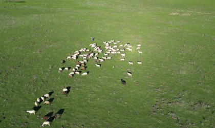 (Özel) Bandırmalı çiftçilerin meralarını korumak için hukuk mücadelesi