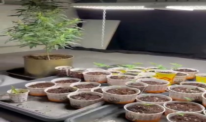 Samsunda zehir tacirlerine baskın