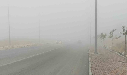 Şanlıurfada yoğun sis etkili oluyor