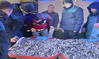 Semt pazarında balık denetimi: Boyları tek tek ölçüldü