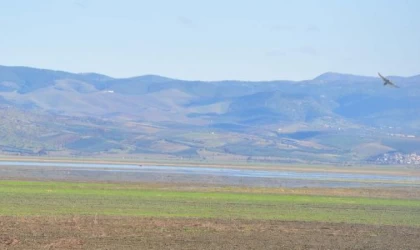 Son yağışlar, kuruyan Marmara Gölü’ne umut oldu