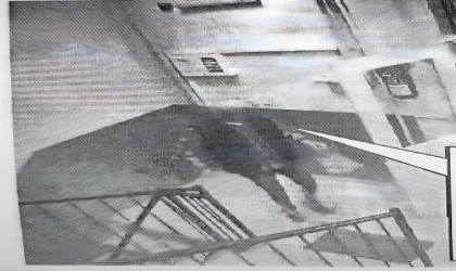 Sopayla kediye öldüren şüpheliye ev hapsi/ Fotoğraf