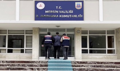 Sosyal medyadan sahte ilanla dolandırıcılık yapan şüpheli tutuklandı