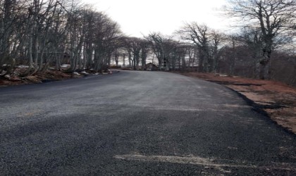 Teleferiğin son durağına otopark ve yol