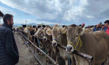 Uzmanı uyardı, o hastalık ağızda oluşan lezyonlarla kendini gösteriyor