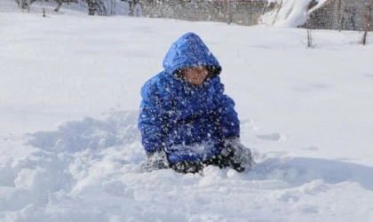 Van’da kar nedeniyle kapanan yollar açılıyor (2)