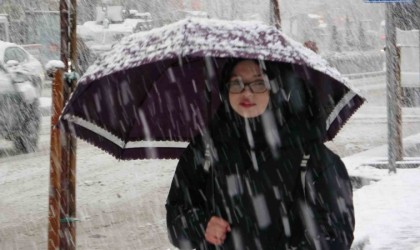 Vanda kar yağışı etkisini artırdı