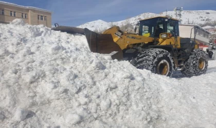 Van’da kardan kapanan 451 yerleşim yeri yolunun 148’i açıldı (2)