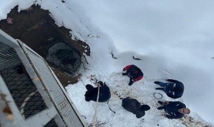 Vanda kuyuya düşen köpeği itfaiye ekipleri kurtardı