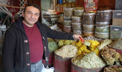 Vatandaşlar şifayı aktarda arıyor