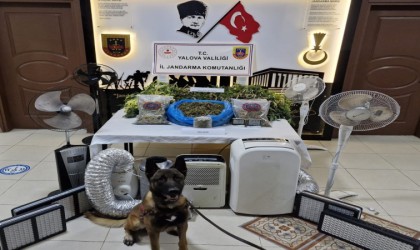 Yalovada uyuşturucu üretilen villaya operasyon