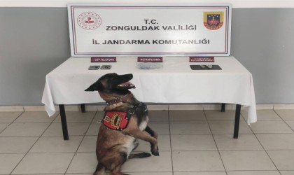 Zonguldakta jandarmadan uyuşturucu operasyonu