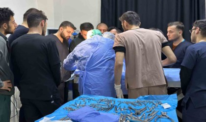 8 santimlik taş insandan değil, 10 yaşındaki ‘Fındık isimli köpekten çıktı