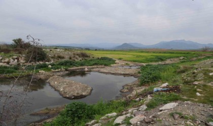 Adanada dereyi kirleten fabrikaya para cezası uygulandı