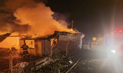 Ahırda açık unutulan lamba patlayınca yangın çıktı; 63 küçükbaş öldü