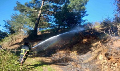 Belende ormanlık alanda çıkan yangın söndürüldü