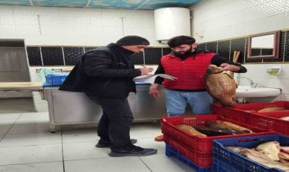 Beyşehir Gölünde av faaliyetlerine yönelik denetimler sürüyor