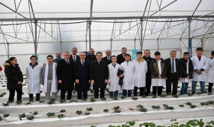 Bu serada 12 ay boyunca hasat mümkün