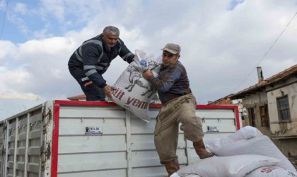 Büyükşehirden üreticiye yem desteği