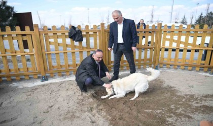 Büyükşehirin köpek eğitim parkuru Mİllet Bahçesinde hizmete hazır