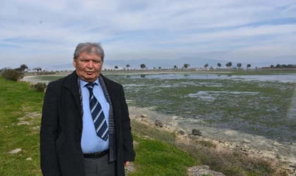 Çakalburnu Lagünü, deniz marulları ile kaplandı; kuş cenneti için uyarı