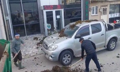 CHPnin belediye başkan adayına dışkı şoku