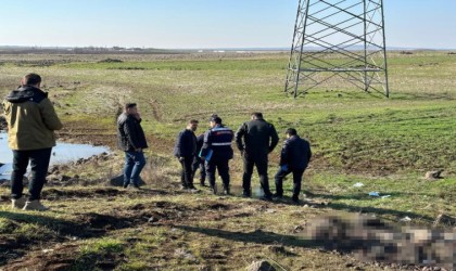 Diyarbakırda sevgili dehşeti: Önce kız arkadaşının sonra kendi kafasına sıktı