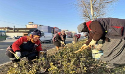 Düzceyi kadınlar güzelleştiriyor