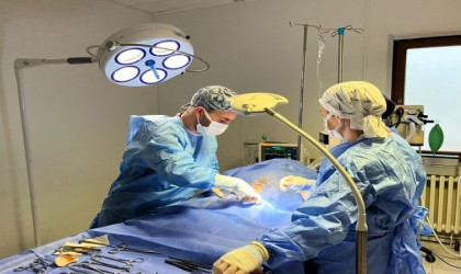 İdrar kesesinin yüzde 90ı taşla kaplanan köpek başarılı operasyonla sağlığına kavuşturuldu