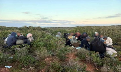 Kaçak göçmenler, insansız hava aracıyla tespit edilip yakalandı