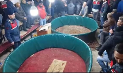 Kanatlı Hayvanları Sevenler ve Sergileyenler Derneği’nde horoz dövüşüne suçüstü