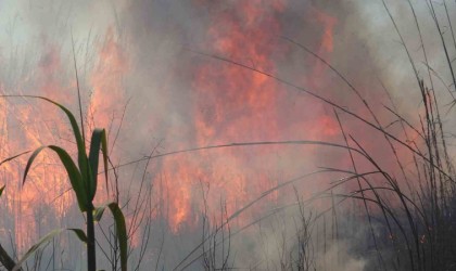 Kargılık yangınında alevlerin boyu 5 metreye kadar yükseldi