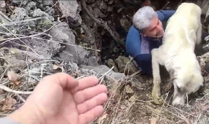 Kuyuya düşen köpeğe vatandaştan yardım eli
