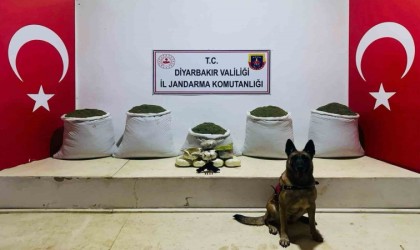 Licede 91 kilo esrar ele geçirildi