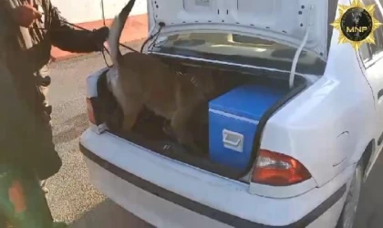 Malatya’da durdurulan otomobilde 6 kilo skunk ele geçirildi; 1 tutuklama