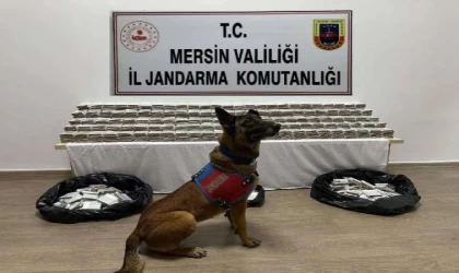 Mersin’de 61 bin 700 kaçak makaron ele geçirildi