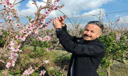 Mersin’de yalancı bahara aldanan ağaçlar çiçek açtı