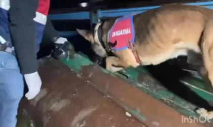 ’Narkogüç-49’ operasyonlarında 214 uyuşturucu satıcısı yakalandı