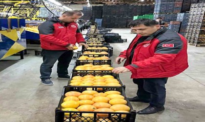 Ortacadan portakallar yola çıktı