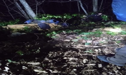 ’Patpat’ devrildi; 1 ölü