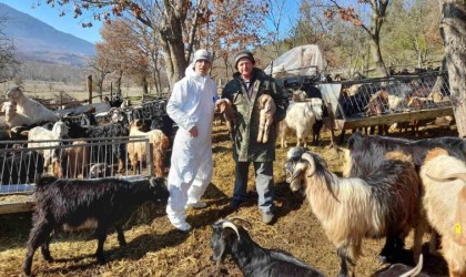 Simavda çoban tespitleri yapılıyor