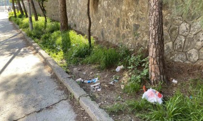 Topyatağı değil çöpyatağı varyantı