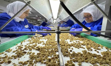 Türkiye organik ürün ihracatında 1 milyar dolar sınırını aştı