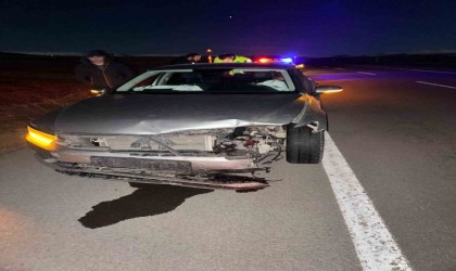 AK Parti Ardahan İl Başkanının aracı domuz sürüsüne çarptı