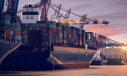 Aydının sarı altını, üretimde dünya birincisi İspanyada güçleniyor